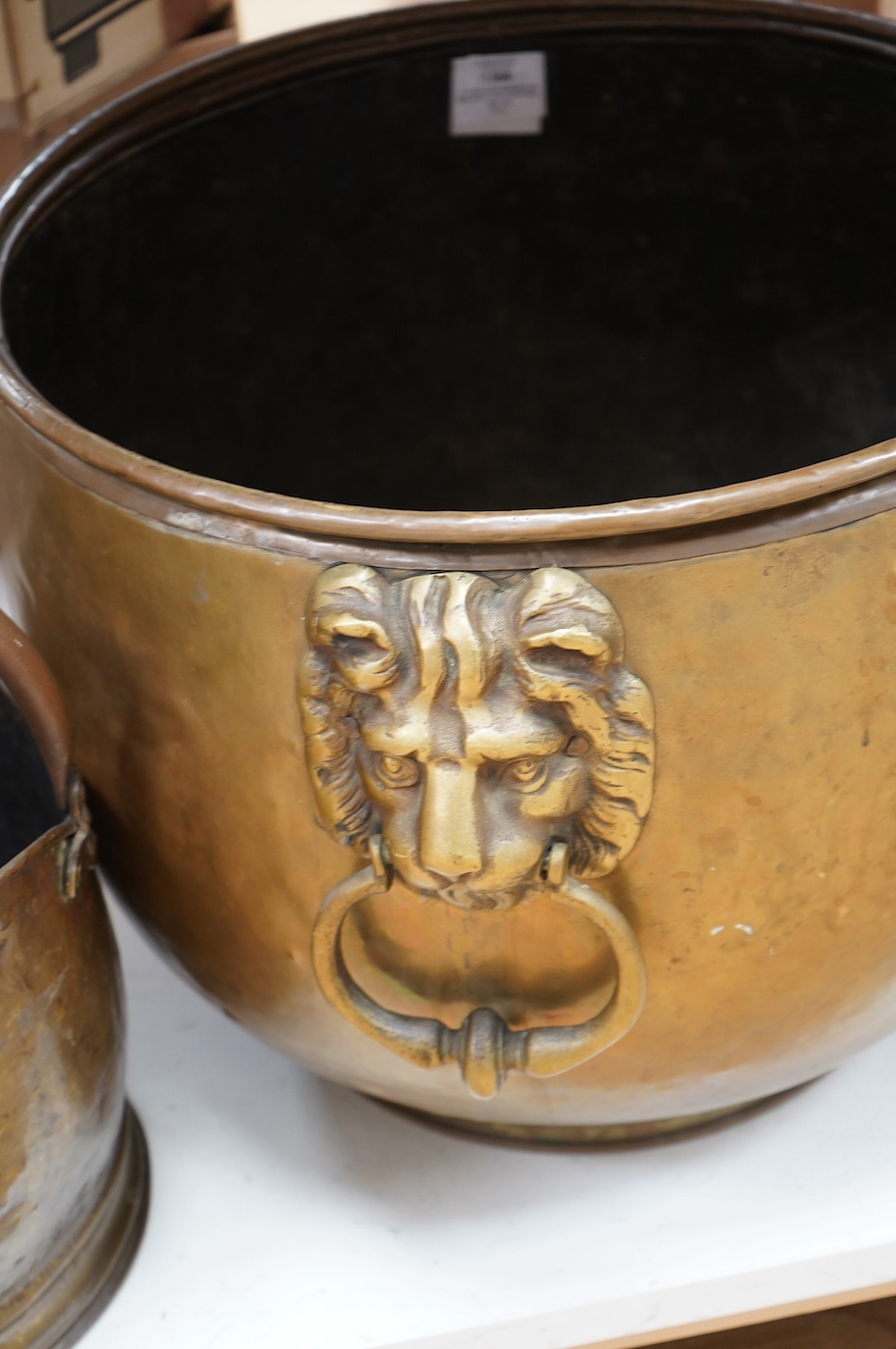 A circular brass log bin with lion head handles and a coal scuttle, tallest 35.5cm. Condition - fair